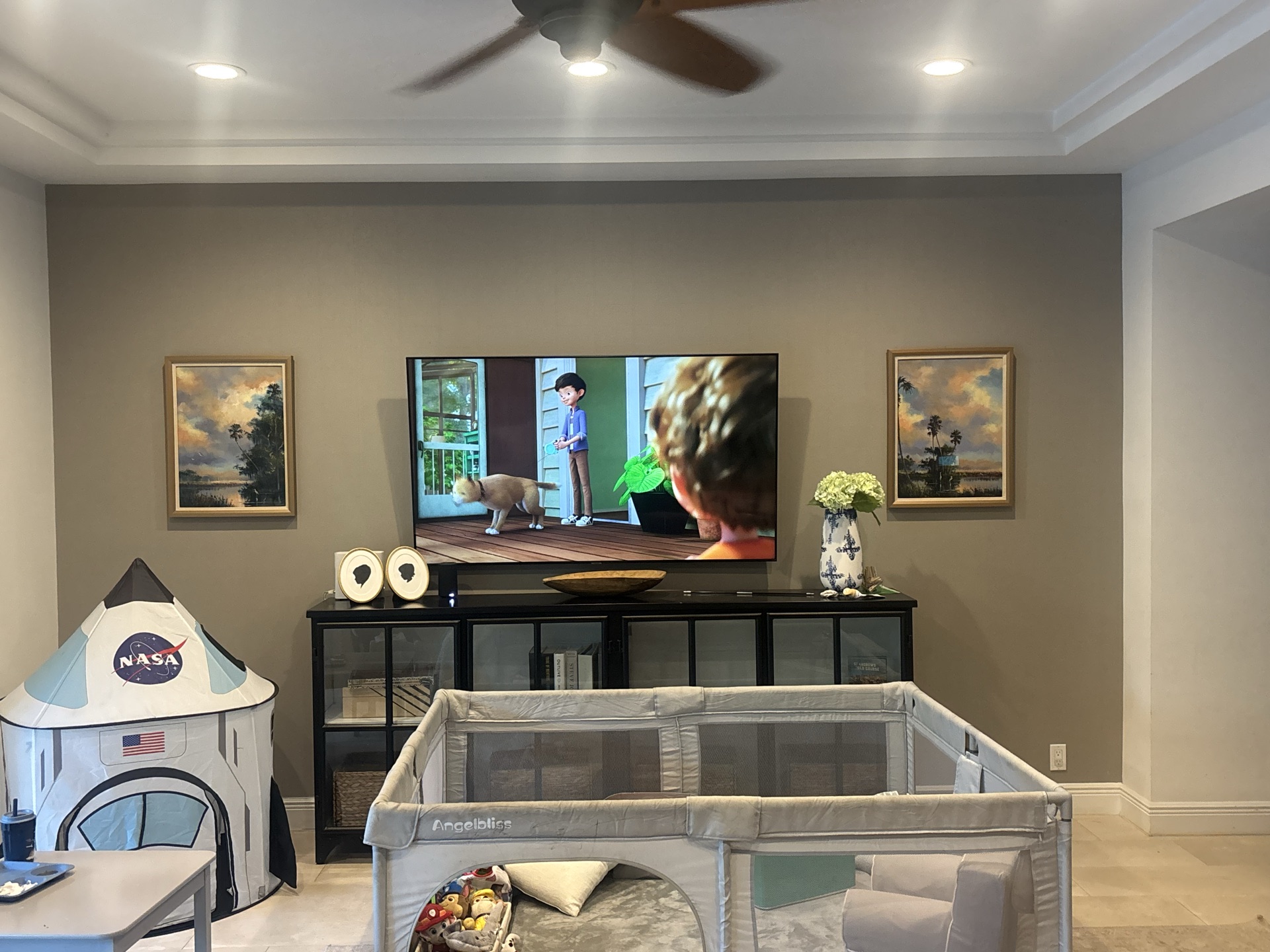 Living Room TV Wall before